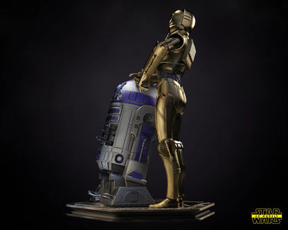 C3PO and R2D2 Star Wars Resin printed DIY model kits